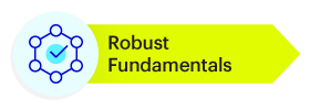 Robust Fundamentals