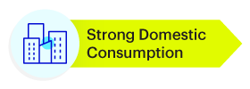 Strong Domestic Consumption